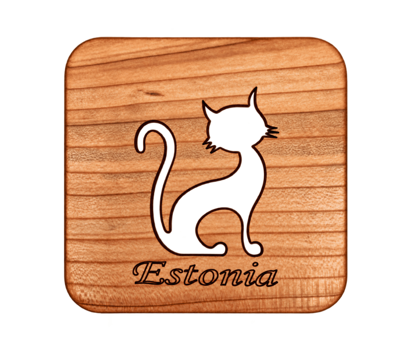 Estonia Coaster