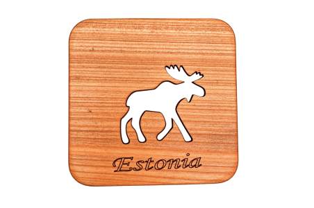 Estonia Coaster