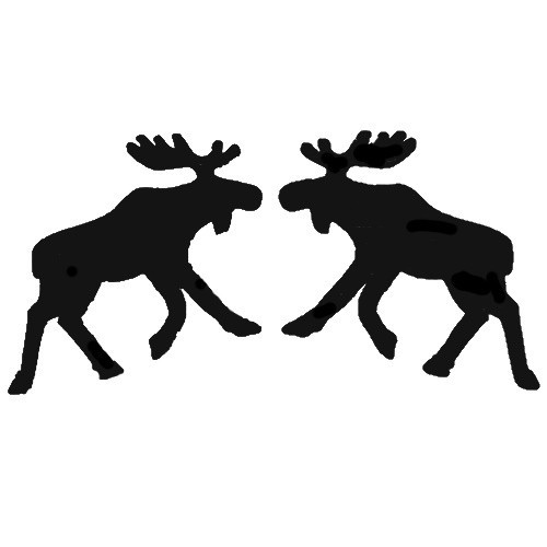 Two moose